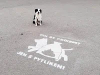Ven se psíkem Jen s pytlíkem Praha 3